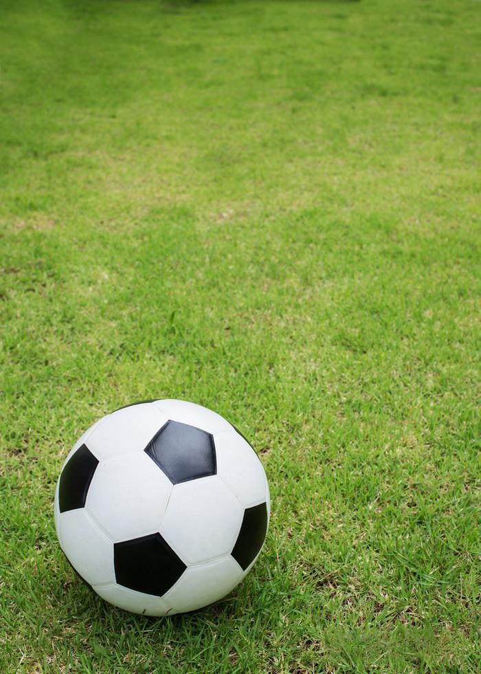 足球任选九场分析工具界面展示